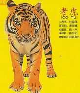 tijger