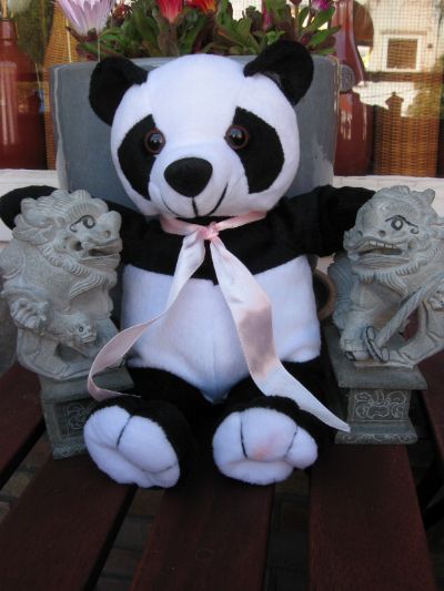 panda-001