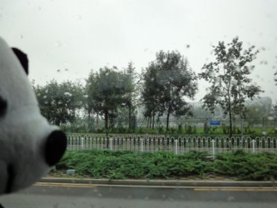 dsc08950