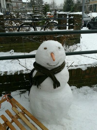 sneeuwpop
