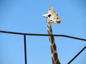 IMG_0192