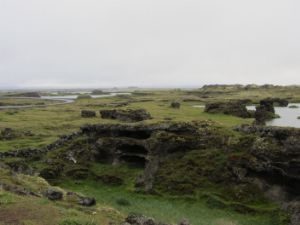 IMG_8416