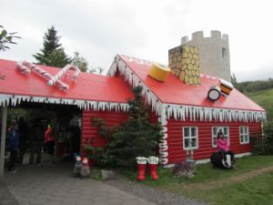 IMG_8831