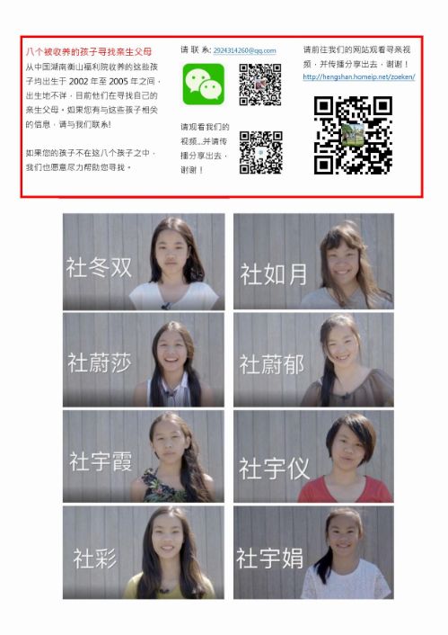 Flyer Hengshan Vet