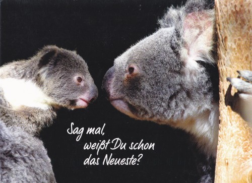2019-03-27 zwitserland